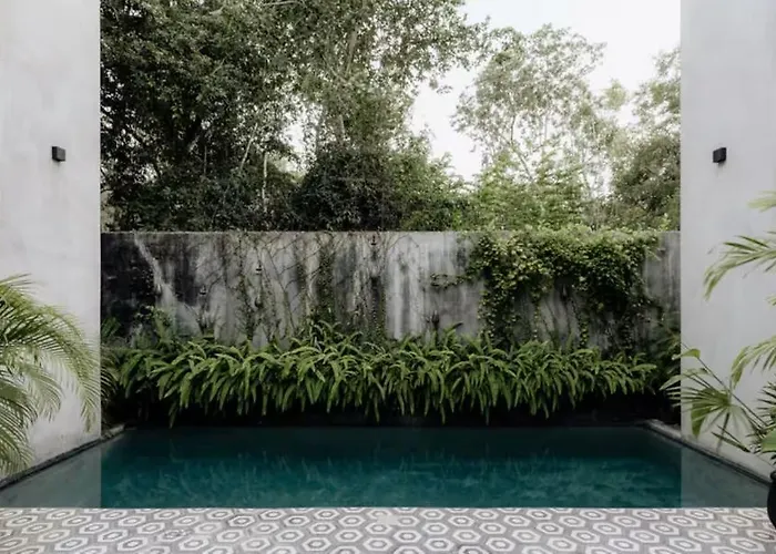 Arch Mansion La Veleta For 28 Guests * Tulum